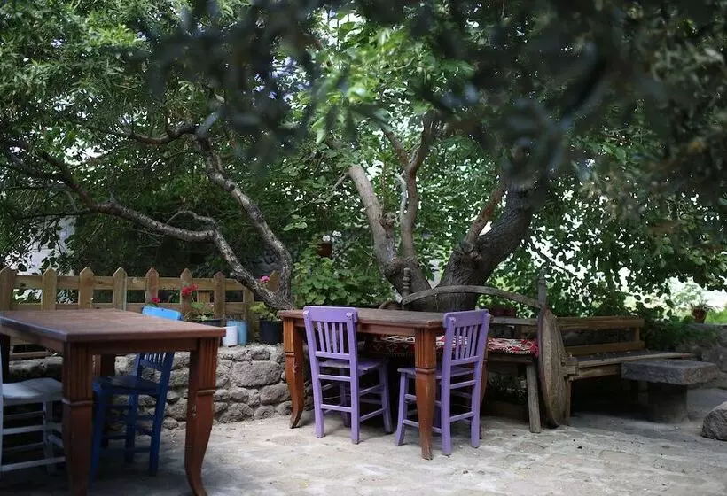 Assos Akropol Pansiyon