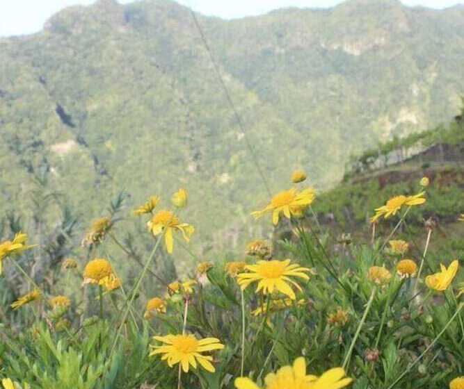 Casa Das Laranjeiras