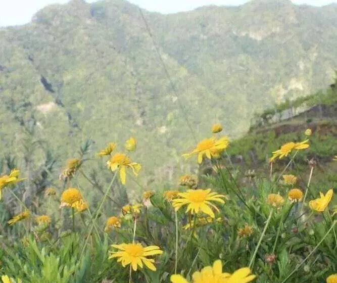 Casa Das Laranjeiras