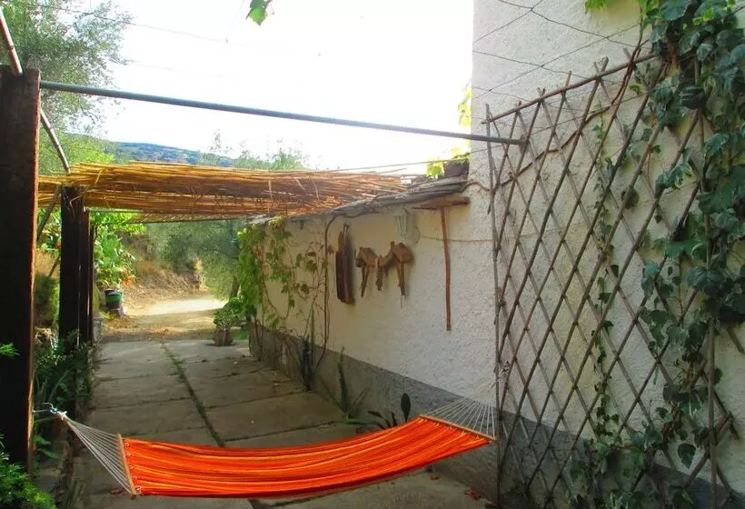 Cortijo Brazal La Ventaja