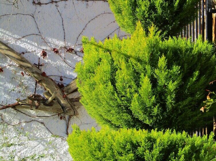 Cortijo Brazal La Ventaja