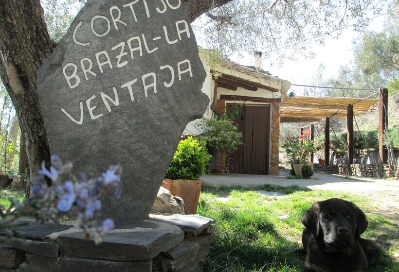 Cortijo Brazal La Ventaja