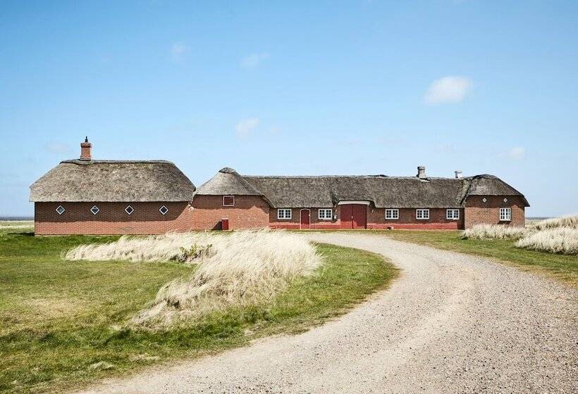 Drivethru Bed & Breakfast Hvide Sande