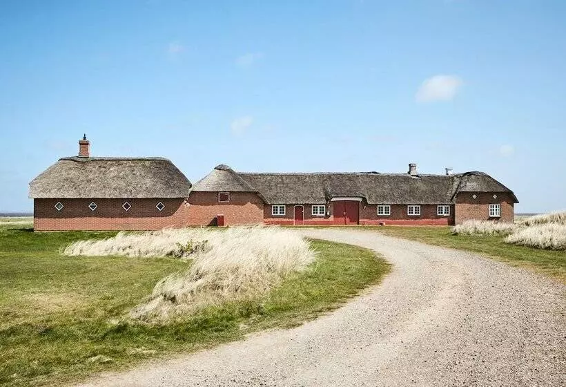 Drivethru Bed & Breakfast Hvide Sande