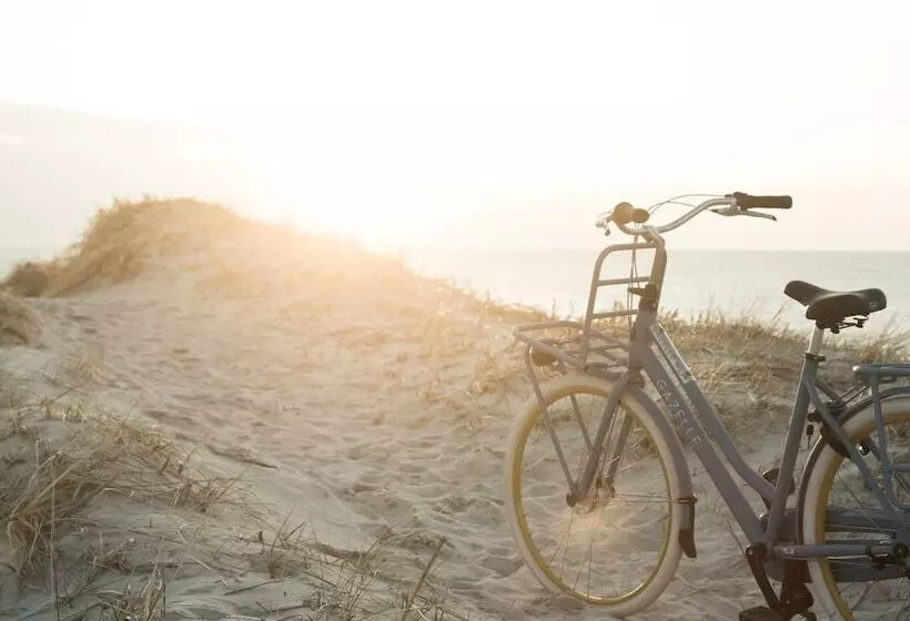 Drivethru Bed & Breakfast Hvide Sande