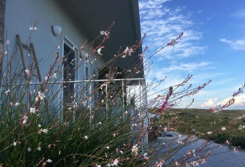 هتل Aika Akvaryum