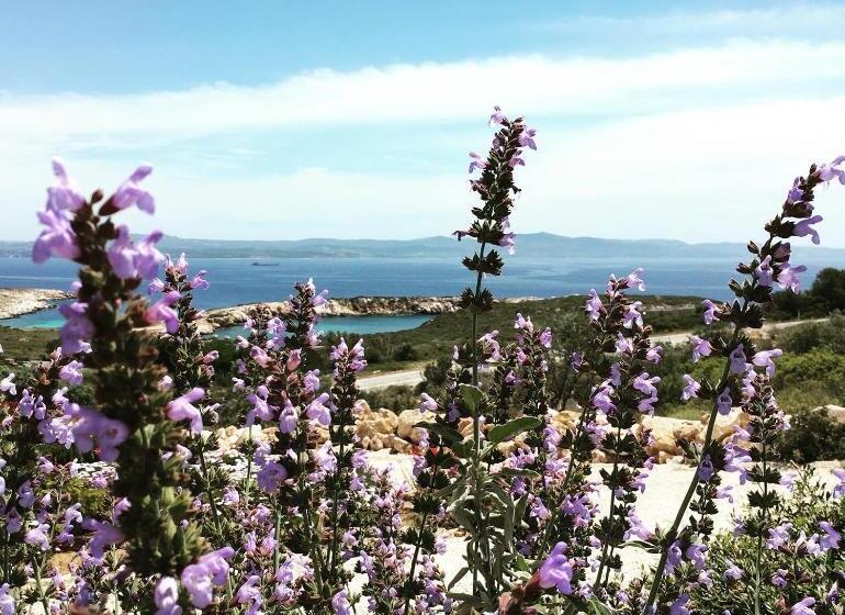 هتل Aika Akvaryum