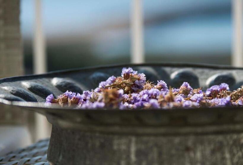 هتل Aika Akvaryum