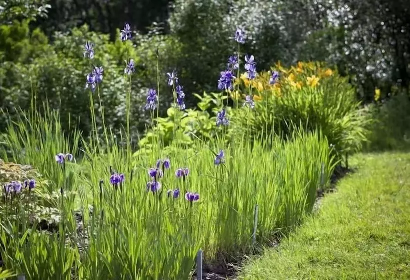 Hotelli Enaforsholm Fjällgård