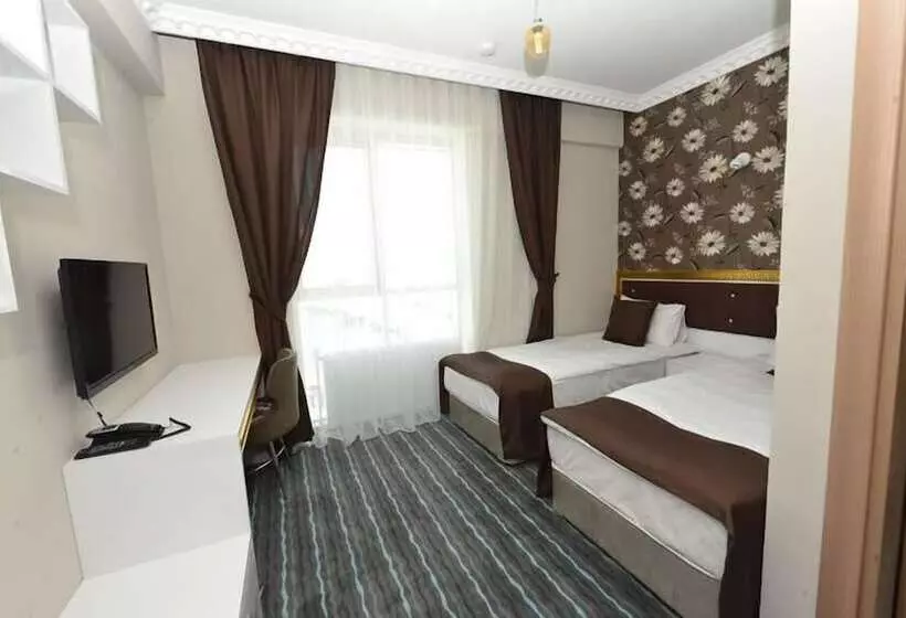 ホテル Grand Surmely Business