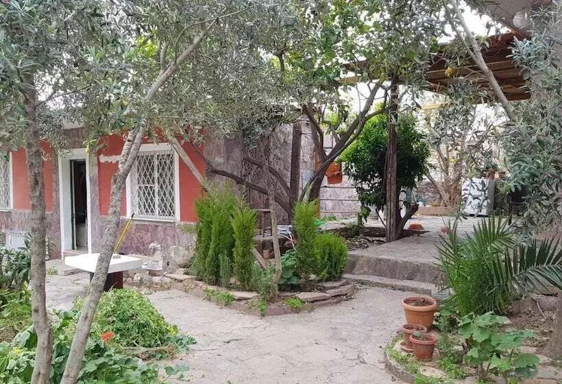 Hotelli Medusa House Boutique