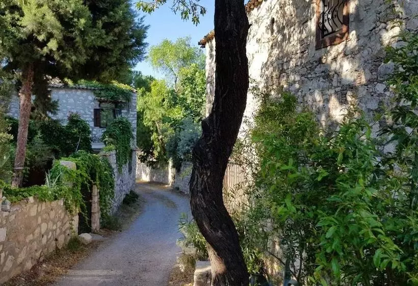 Hotelli Medusa House Boutique