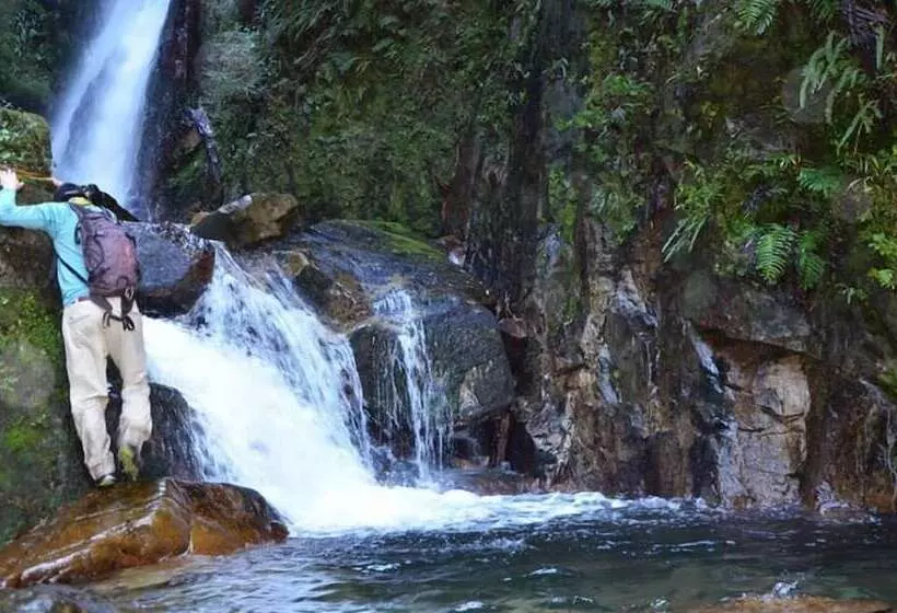 ホテル Termas Coñaripe