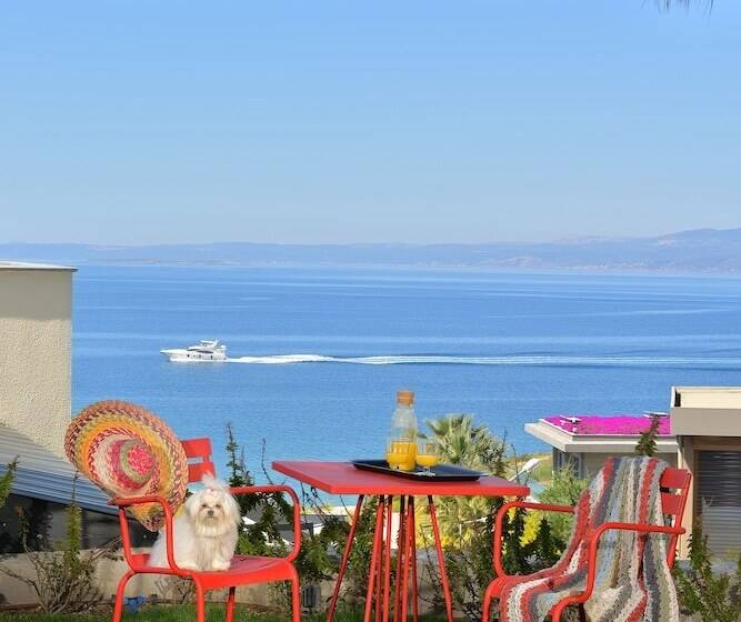 Quattordici Residence