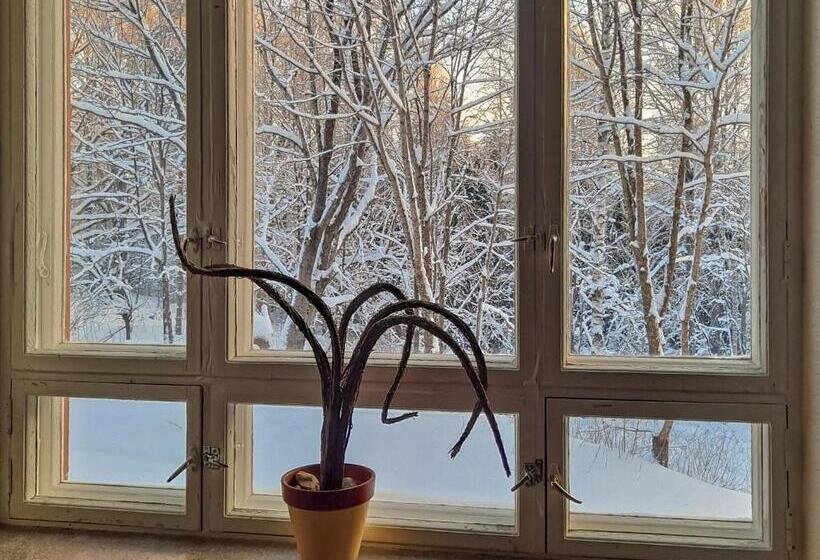 Vanhan Koulun Majatalo Old School Guest House