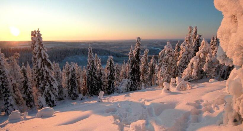Vanhan Koulun Majatalo Old School Guest House