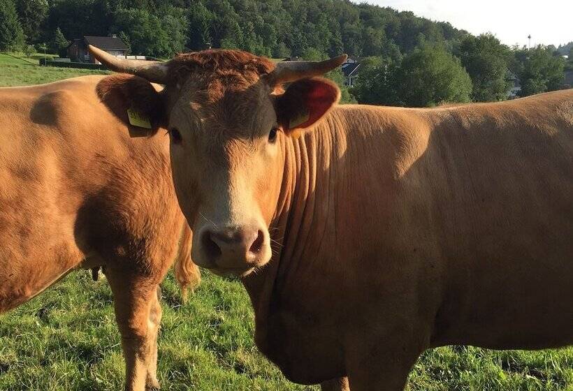 Eifeltraum Mediterrana Pure Silence