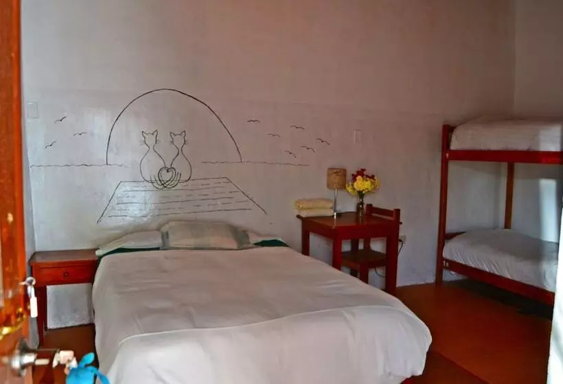 Hostal Chaska Wasi   Hostel