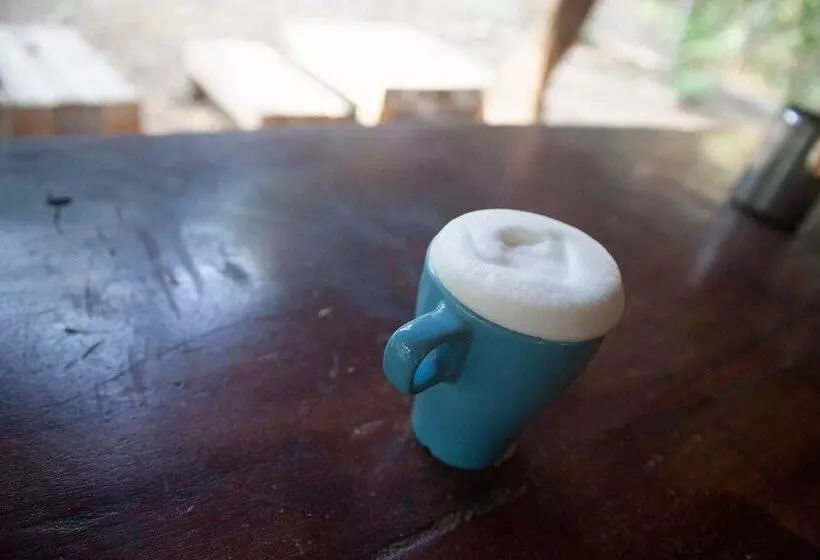 ホテル Bar'coquebrado Camping
