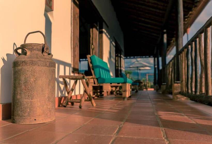 هتل Boutique Venturi