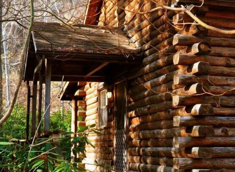 هتل Cheat River Lodge And Cabins