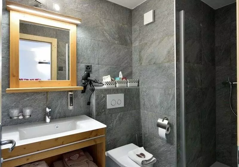 Hotelli Hôtel Les Mélèzes