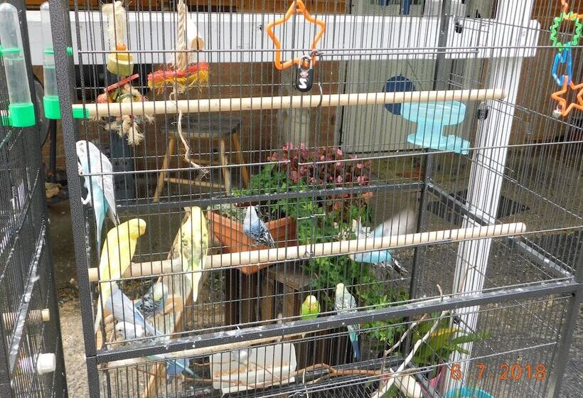 Little Shamrock Motel