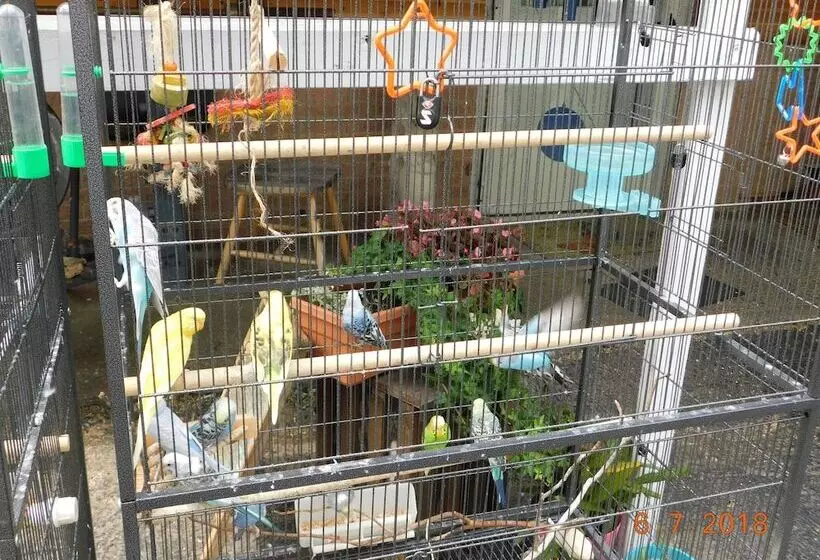 Little Shamrock Motel