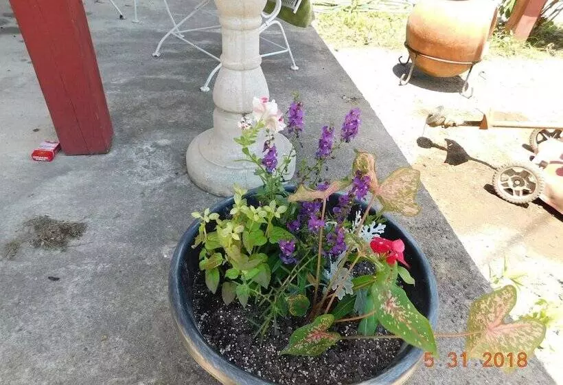 Little Shamrock Motel