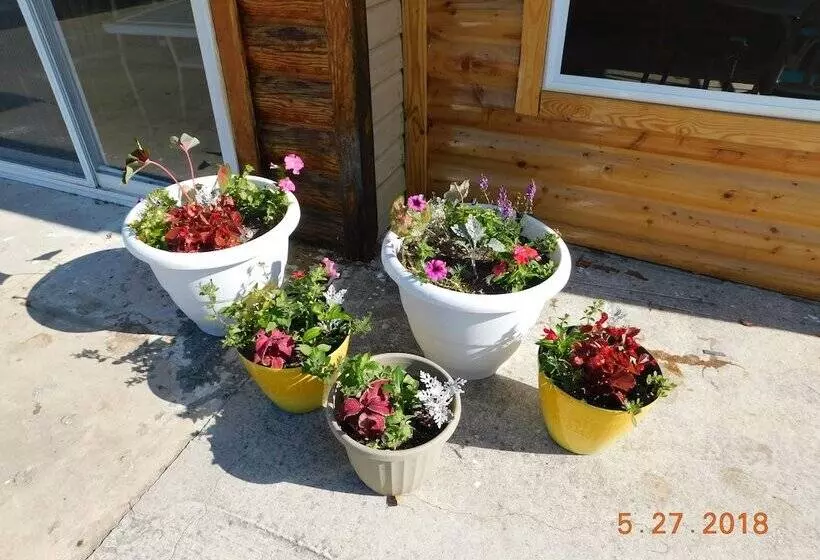 Little Shamrock Motel