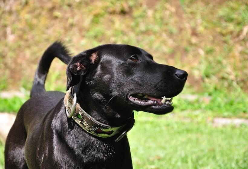 Zaita & Uaia Hotel Wellness Spa