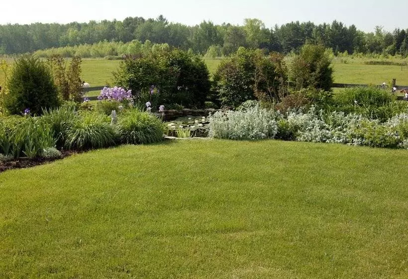 تختخواب و صبحانه Chanticleer Guest House