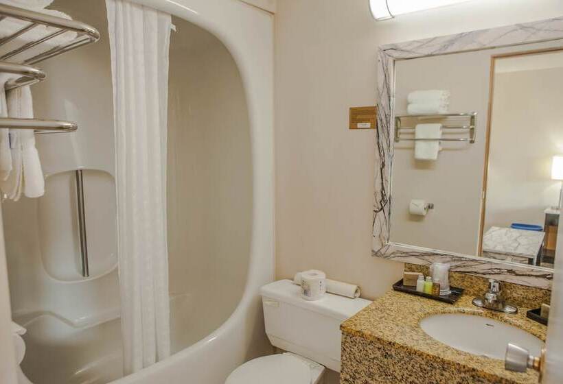 Canadian Motel North Battleford