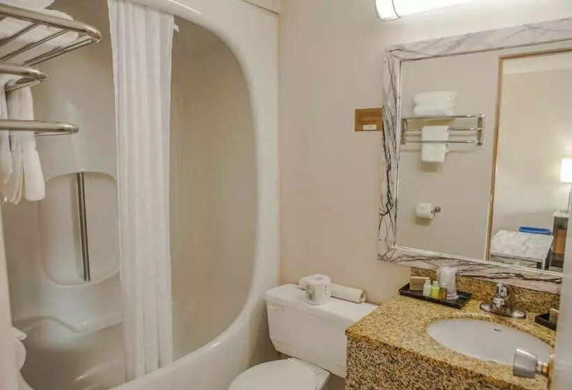 Canadian Motel North Battleford