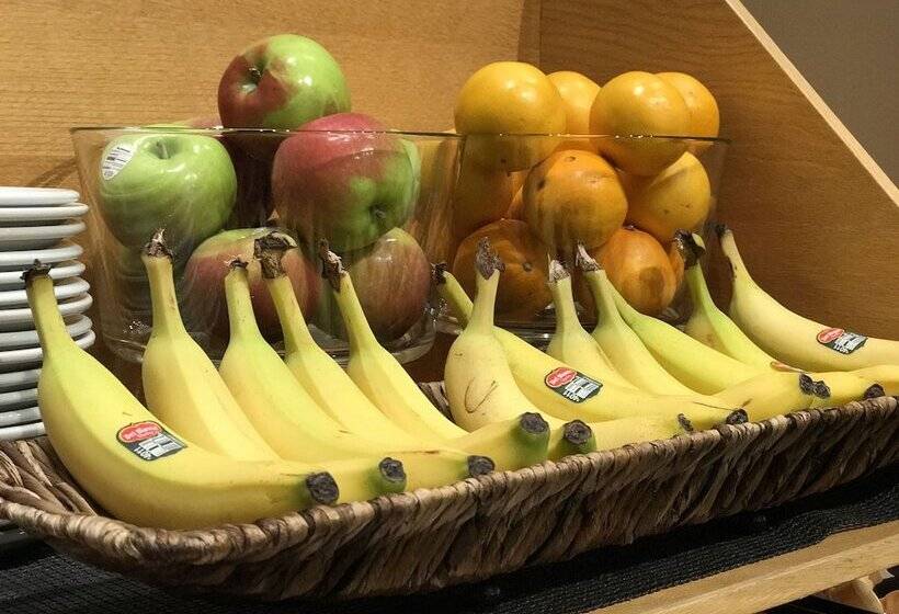 Canadian Motel North Battleford