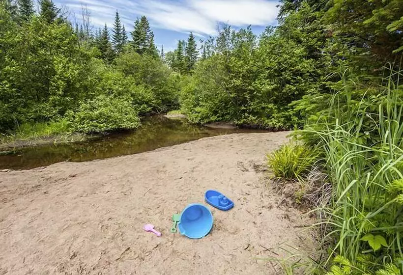 Le Bois Rond Des Ruisseaux