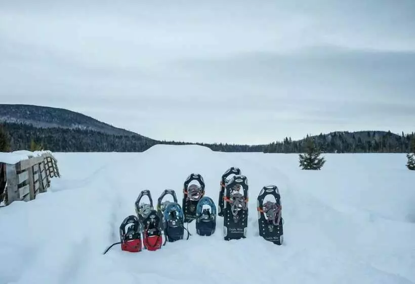 Le Bois Rond Des Ruisseaux