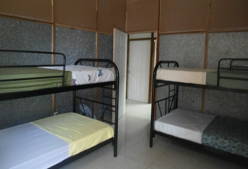Eco Hostel