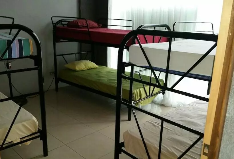 Eco Hostel