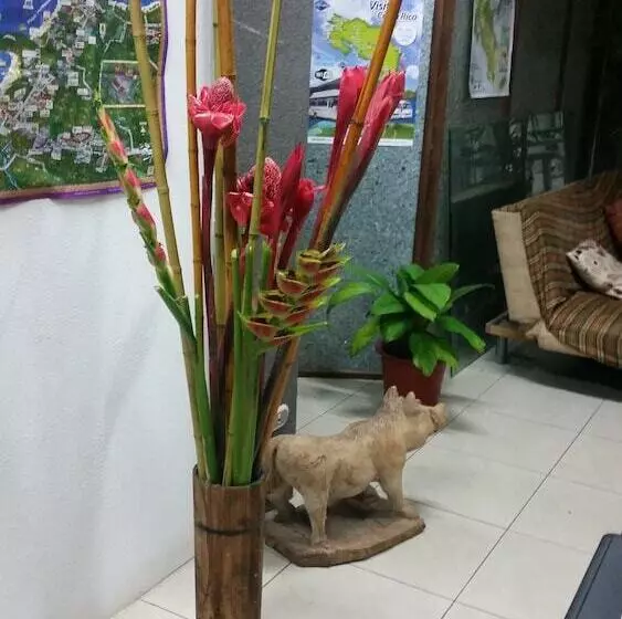 Eco Hostel