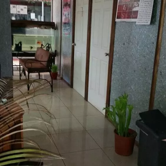 Eco Hostel