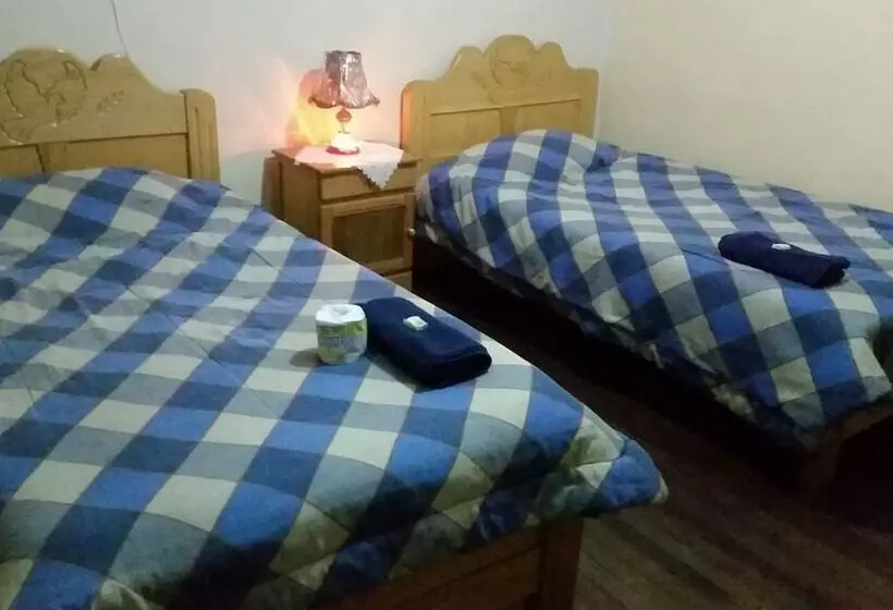 Hostal Maya Inn   Hostel