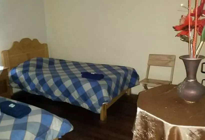 Hostal Maya Inn   Hostel