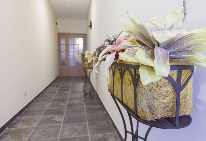 乡村酒店  Agro Turismo Do Roxo