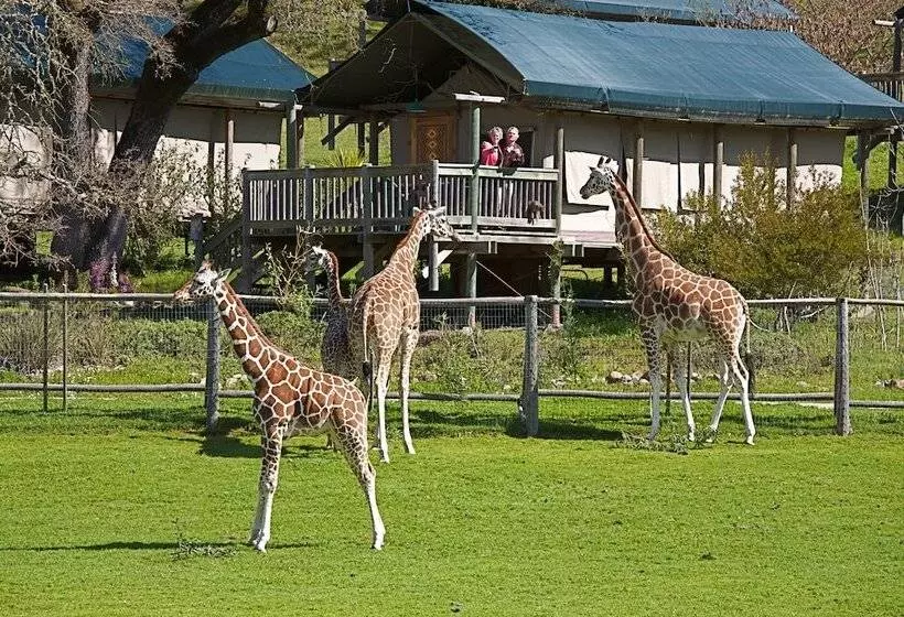 ホテル Safari West
