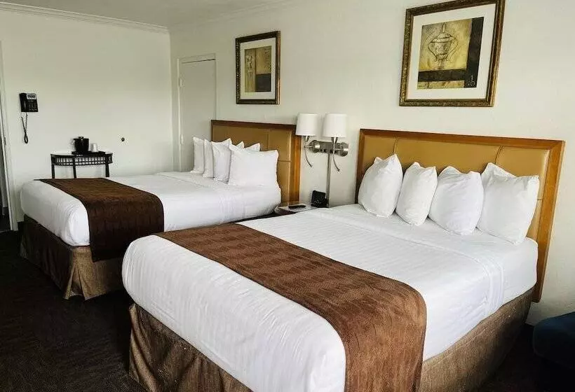 Hotelli The Pines Country Inn