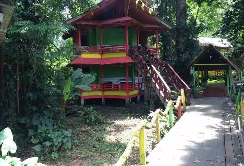 Hotelli Yare Jungle Lodge