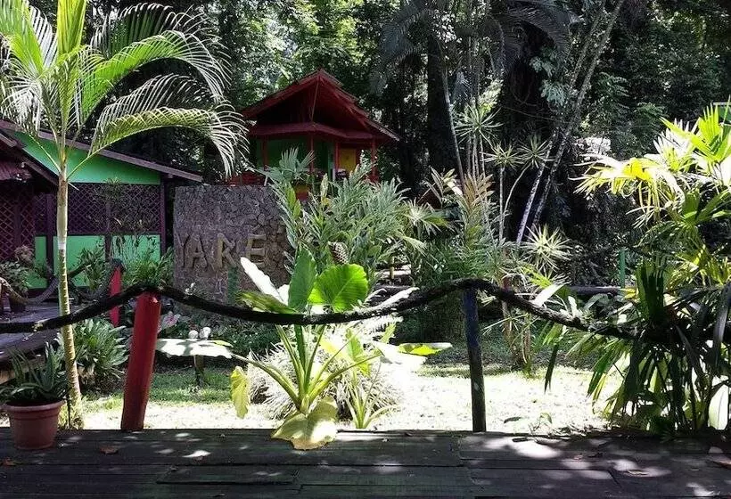 Hotelli Yare Jungle Lodge