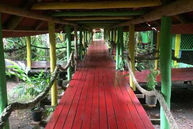 Hotel Yare Jungle Lodge