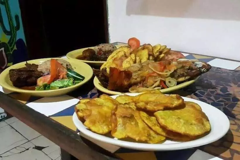 Hotelli Yare Jungle Lodge